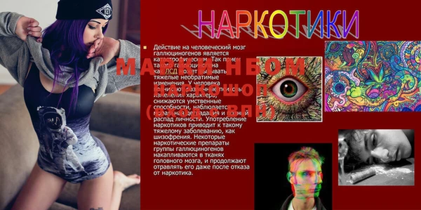 героин Абаза