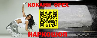 крисы Камышлов