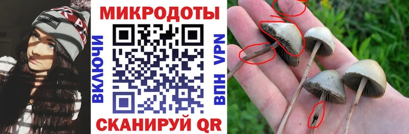 OMG как зайти  Нижнекамск  Галлюциногенные грибы прущие грибы 