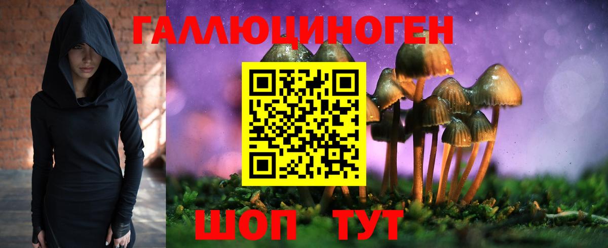 Псилоцибиновые грибы GOLDEN TEACHER Нижнекамск